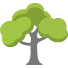 Franklin Tree Trimming Service