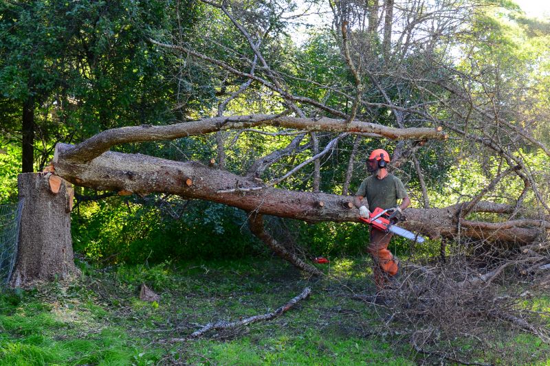 Tree Cutting Near Structures