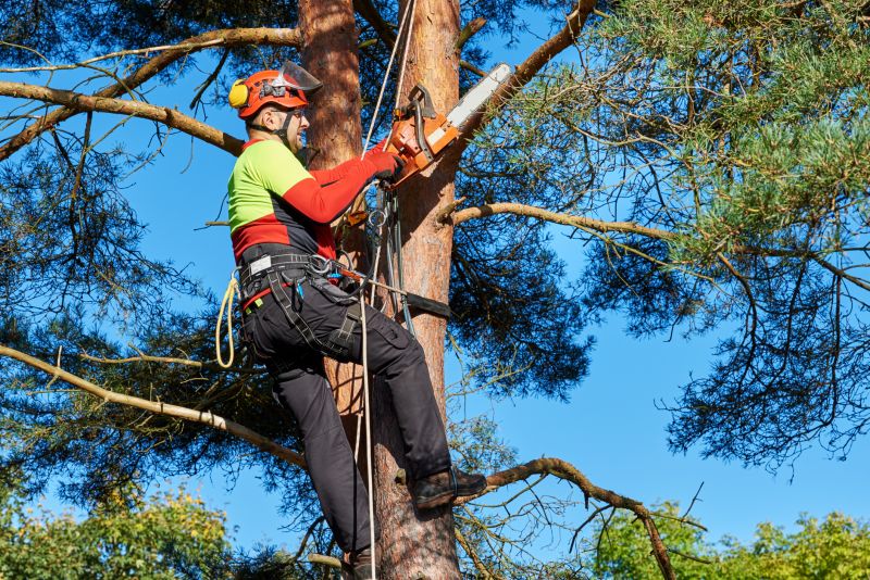 Safety Gear for Trimming