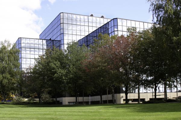 Commercial Tree Trimming in Franklin